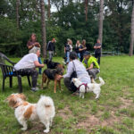 20260225-news-hundespielstunde-3