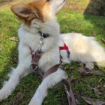 20260227-news-trapo-zuhause-8