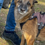 20260228-fotos-nisha-01