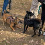 20260228-fotos-nisha-04