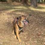 20260228-fotos-nisha-09