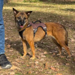 20260228-fotos-nisha-10