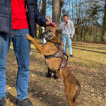 20260228-fotos-nisha-15