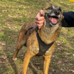 20260228-fotos-nisha-22