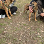 20260228-fotos-nisha-25