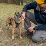 20260228-fotos-nisha-27