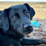 20250901-fotos-monique-1