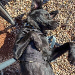 20250901-fotos-monique-2