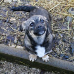 20260222-fotos-chiquita-03