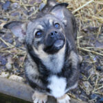 20260222-fotos-chiquita-04
