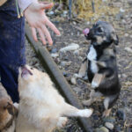 20260222-fotos-chiquita-11