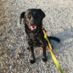 20260306-fotos-monique-1