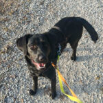 20260306-fotos-monique-2