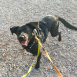 20260306-fotos-monique-3