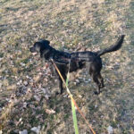 20260306-fotos-monique-4