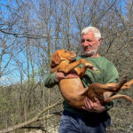 20260405-fotos-bark-1