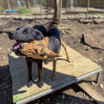 20260405-fotos-future-1