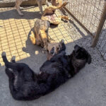 20260405-fotos-future-2