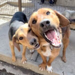 20260405-fotos-future-5