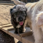 20260405-fotos-kairo-2