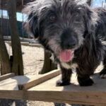 20260405-fotos-kairo-4