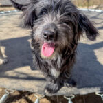 20260405-fotos-kairo-5