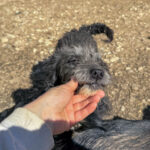 20260405-fotos-kairo-7