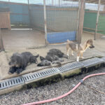 20260405-fotos-kairo-8