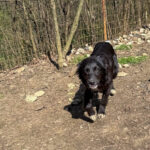 20260405-fotos-kalea-1