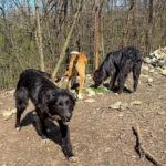 20260405-fotos-kalea-2