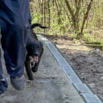 20260405-fotos-kalea-3