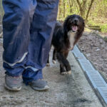 20260405-fotos-kalea-4