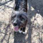 20260405-fotos-kalina-1