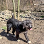 20260405-fotos-kalina-4