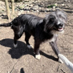 20260405-fotos-kalina-5