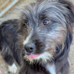 20260405-fotos-kalina-6