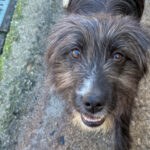 20260405-fotos-kalina-7