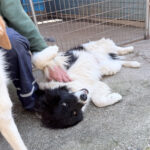 20260405-fotos-ledo-2
