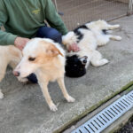 20260405-fotos-lima-3