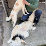 20260405-fotos-lima-4