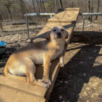 20260405-fotos-sassy-8