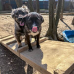 20260405-fotos-sushi-2