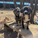 20260405-fotos-sushi-3