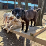 20260405-fotos-sushi-5