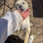 20260405-fotos-suzuki-03