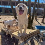 20260405-fotos-suzuki-05