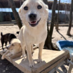 20260405-fotos-suzuki-06