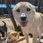 20260405-fotos-suzuki-07