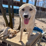 20260405-fotos-suzuki-08