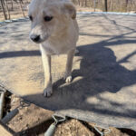 20260405-fotos-suzuki-09